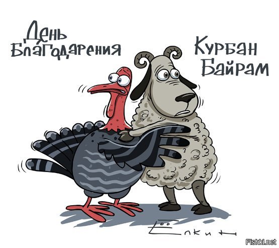 Курбан-байрам смешные фото