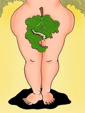 Банный лист