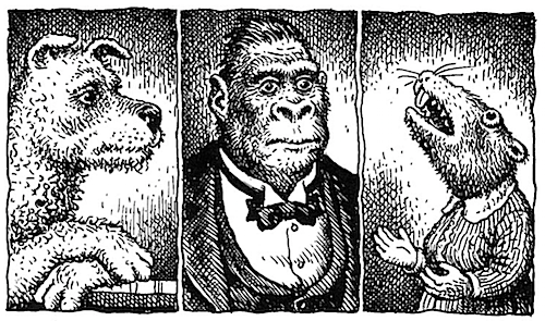 Гибриды Франца Кафки