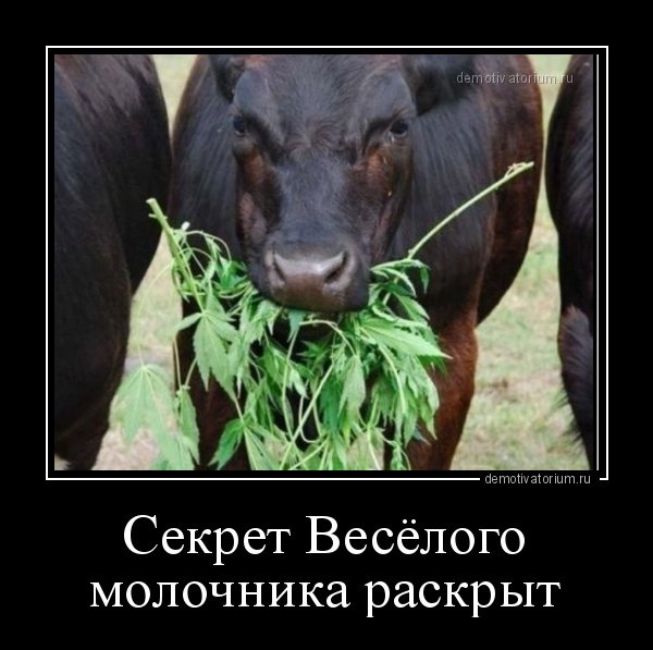 Молоко прикол