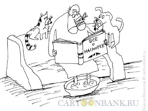 Простуда карикатура