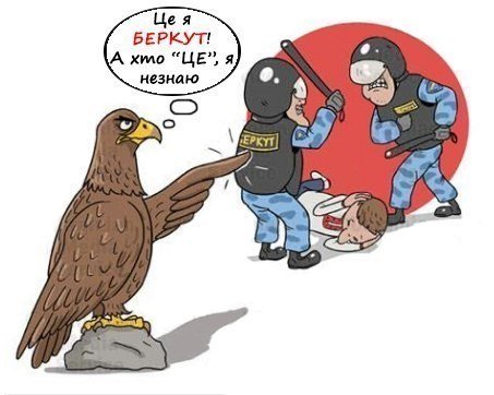 Беркут прикол