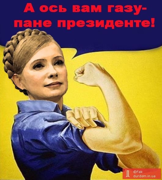 Юлия Тимошенко карикатуры