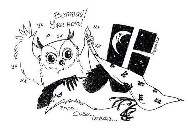 Сова и Жаворонок карикатура