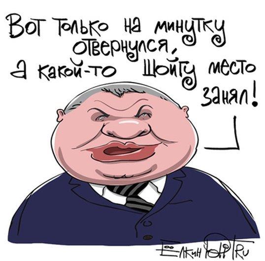 Карикатура на Сердюкова