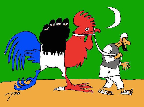 Курятник карикатура