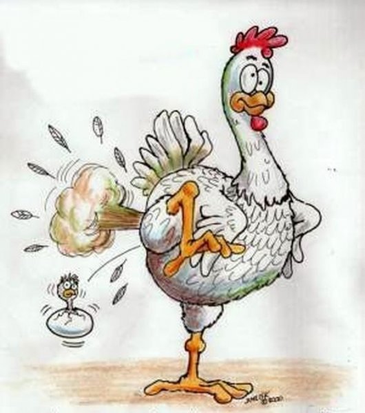 Карикатуры про петухов