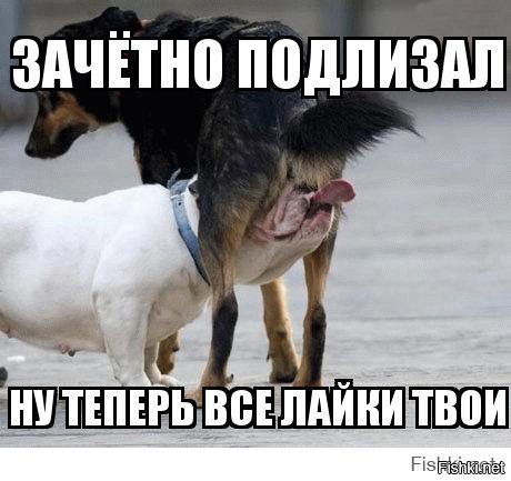 Король карикатура