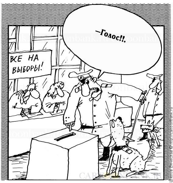 После выборов карикатура