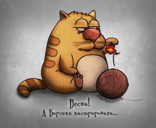 Стерилизованный кот карикатура