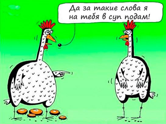 Шутки про яйца куриные