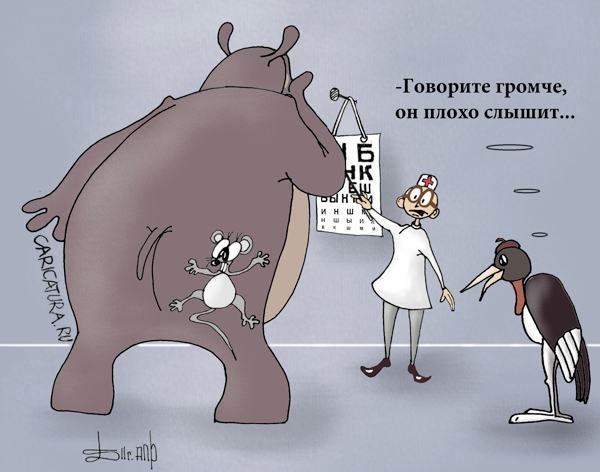 Бегемот юмор