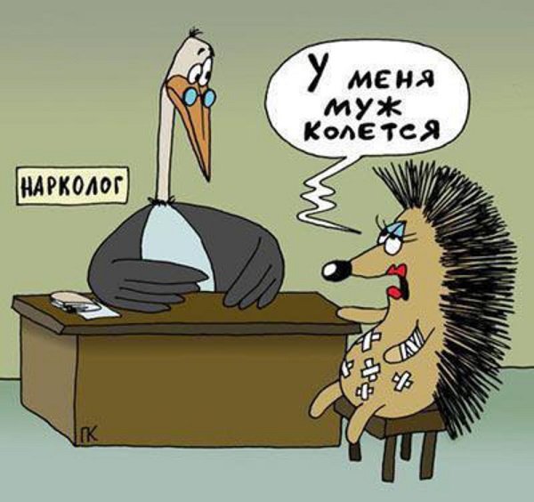 Анекдоты про ежей