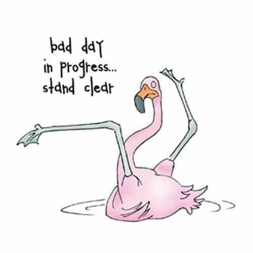 Фламинго с бокалом