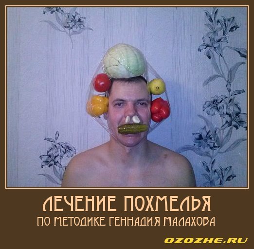 Малахов карикатура (49 фото)