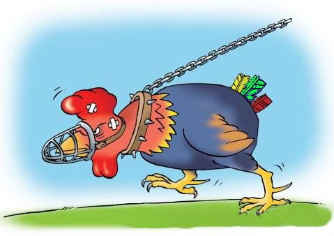 Петух карикатура