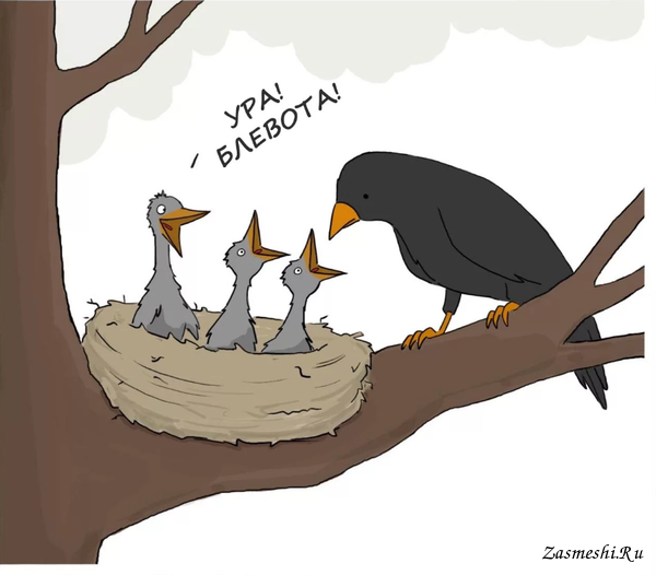 Социальное неравенство карикатура