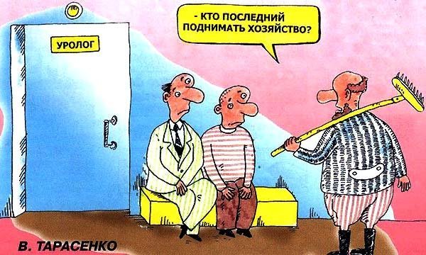 Уролог карикатура