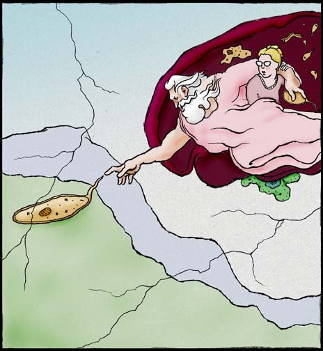 Креационизм юмор