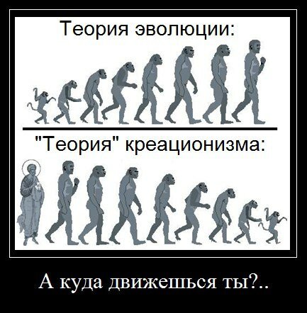 Миллионы лет эволюции