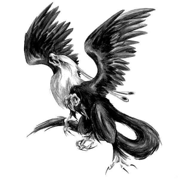 Джокер Феникс портрет