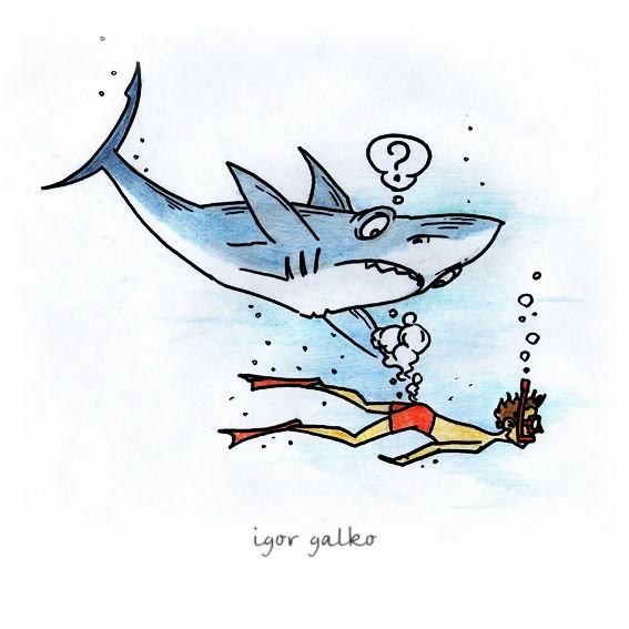 Акула карикатура