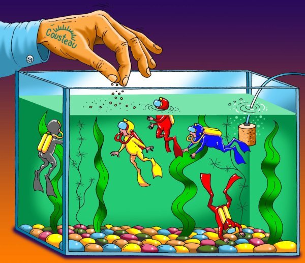 День водолаза