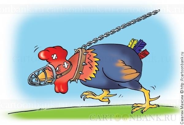 Петух карикатура