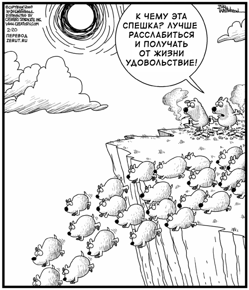 Овца на обрыве