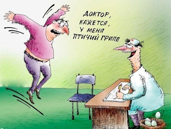 Птичий грипп прикол