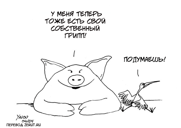 Карикатуры про птиц