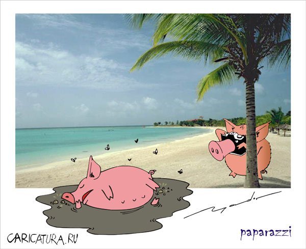 Свинья на пляже под пальмой