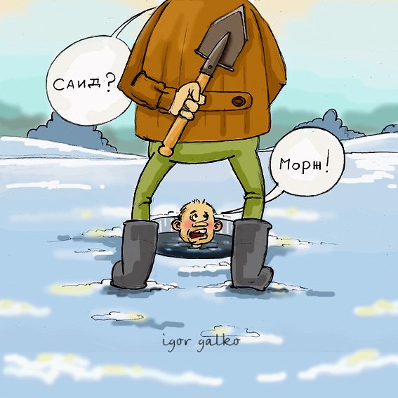 Моржевание карикатура