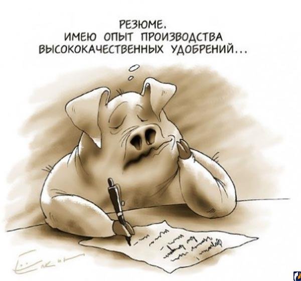 Приколы про работу