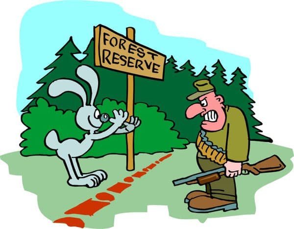 Охотник карикатура