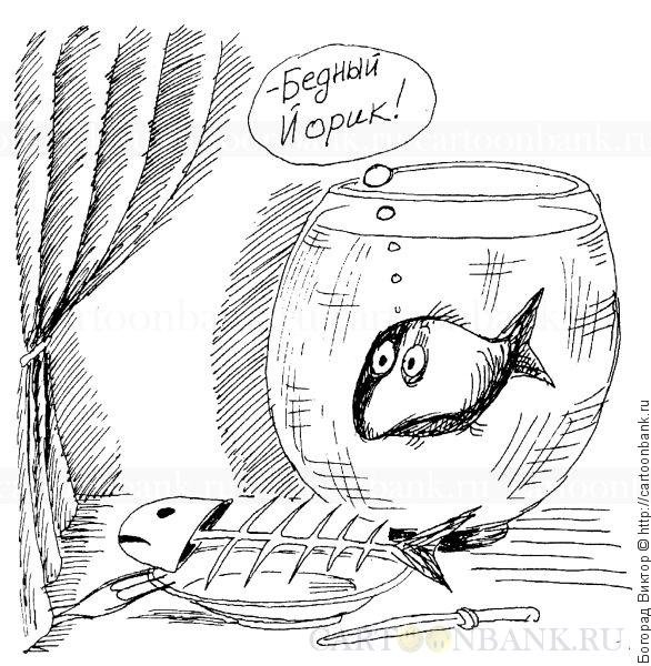 Шарж с селедкой