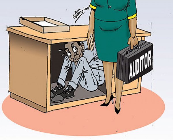 Аудит карикатура