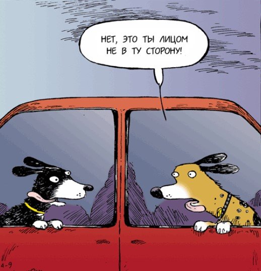 Полемика карикатура