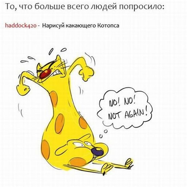 Котопес прикол