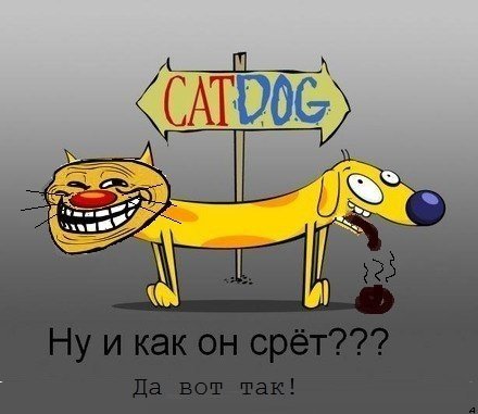 Котопес страшный