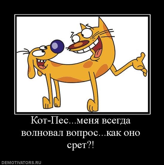 Как выглядит Котопес