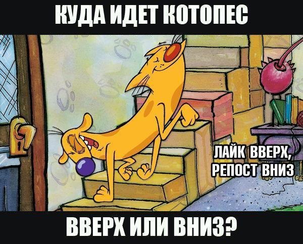 Котопес страшный