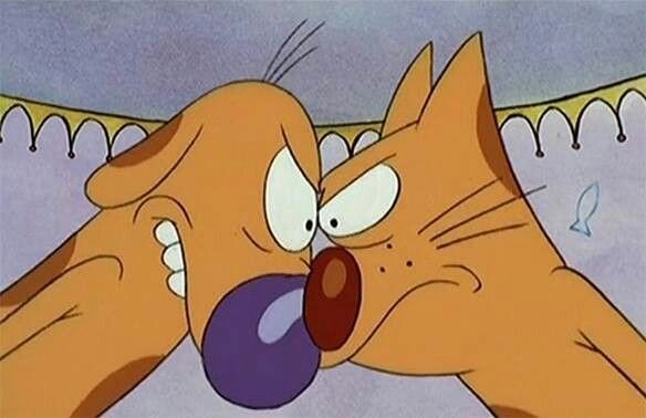 Котопес злой