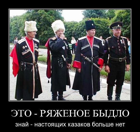 Казаки демотиваторы