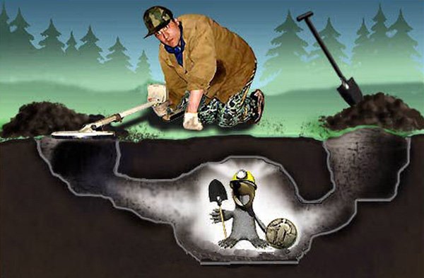 День кладоискателя