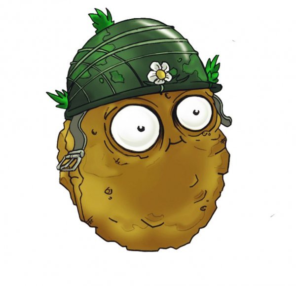 Боевая картошка