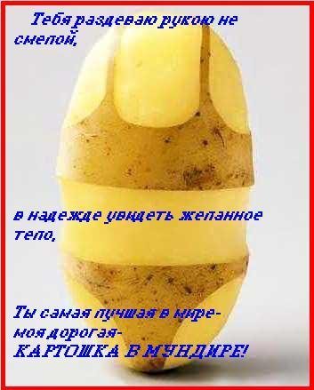 Картошка в мундире прикол