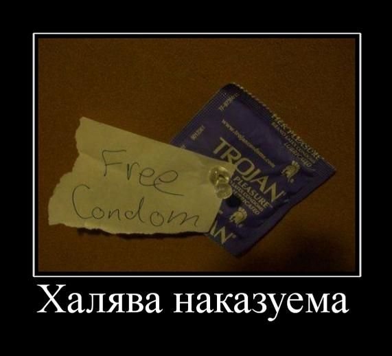 ХАЛЯВА демотиватор