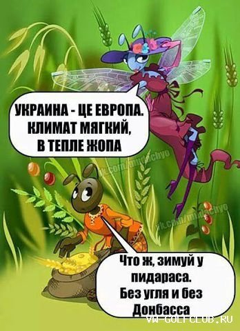 Стрекоза сложила Крылья