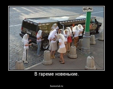 Горе прикол